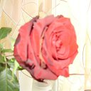 ���� Nina, ������, 73 ���� - ��������� 25 ������ 2019 � ������ ���� ����������