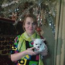 ���� ��������, �����-��������� - ��������� 1 �������� 2019 � ������ ���� ����������