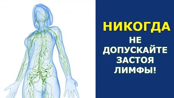 ЭТО ВАЖНО! НИКОГДА НЕ ДОПУСКАЙТЕ ЗАСТОЯ ЛИМФЫ.Двигаться кровь по артериям заставляет мышечный ...