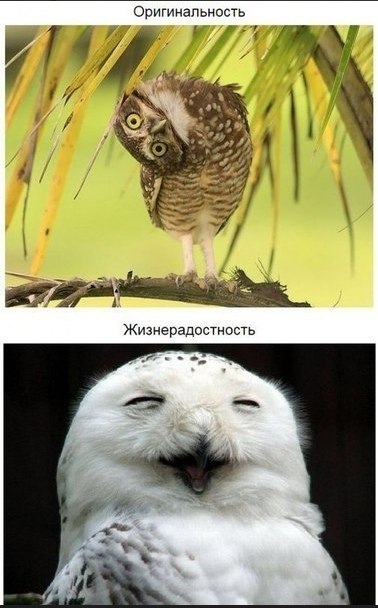  co o ec c aeca... o oce: