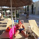  , -, 43  -  11  2019