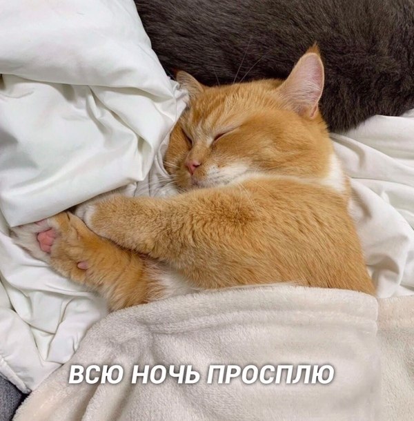    - 6