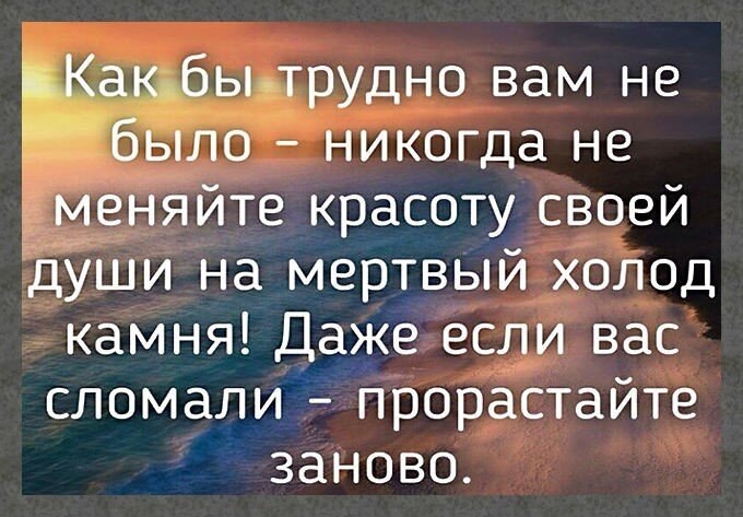 ☆ ☆ - 1  2019  19:24