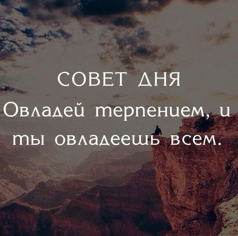 Мудрости и терпения. Терпение мудрость. Совет дня цитаты. Мудрые изречения про терпение. Терпение цитаты.