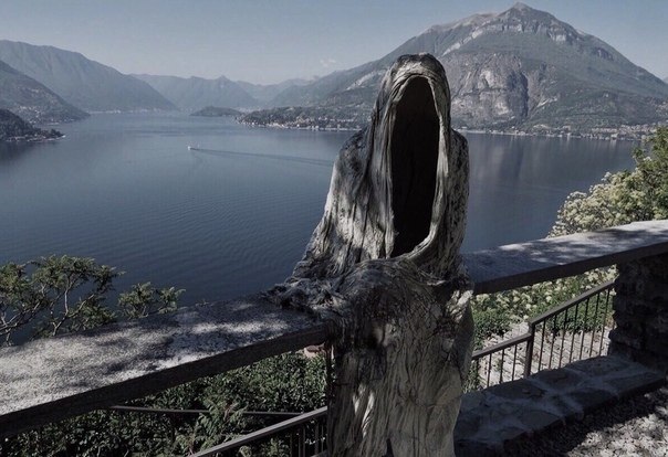  ,   ,    -     