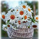 ���� Xxx, ������ - ��������� 4 ������ 2019 � ������ ���� ����������