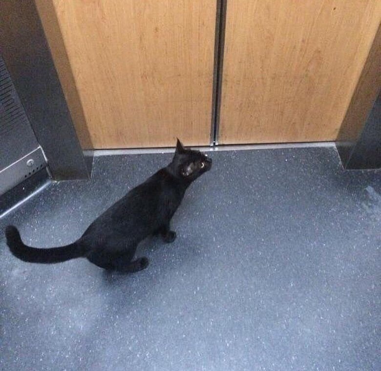  !       .    -    ... - 2