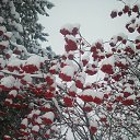 ���� ���������, ������ - ��������� 1 ������� 2019 � ������ ���� ����������