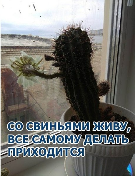  ,     . - 2