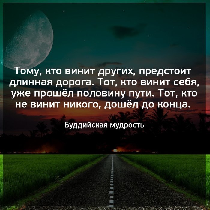     - 11  2019  03:52