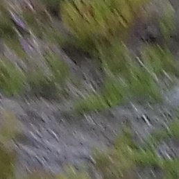 �������, ��������