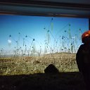 ���� �����, ������������ - ��������� 23 �������� 2019 � ������ �������. ���������� �����.�