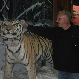 Igor, , 60 