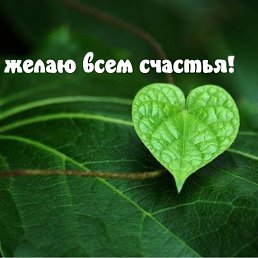 ���� ��������, ������� - ��������� 13 ���� 2019