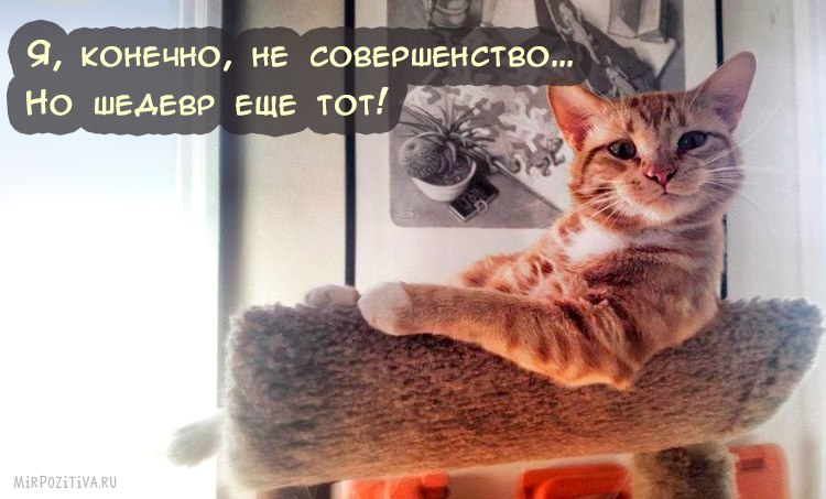 @@ - 10  2019  20:57