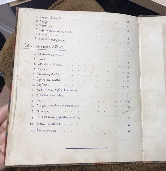 Самодельная книга со стихами Пушкина, Блока и Лермонтова, сделанная женщиной в челябинском ... - 6