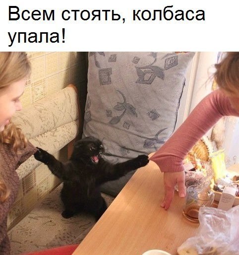    - 19  2019  19:17