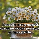 ���� �������, �����, 71 ��� - ��������� 8 ������ 2019 � ������ ���� ����������