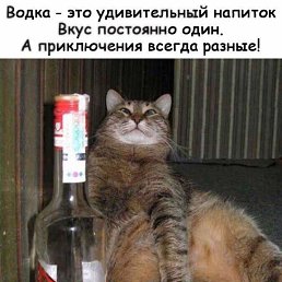 ���� �����, ������� - ��������� 22 ���� 2019