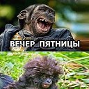 ���� Alexander, ������, 58 ��� - ��������� 23 ���� 2019 � ������ ������ ��������