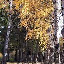 ���� Sanfira, �������������� - ��������� 12 ������� 2019 � ������ ���� ����������