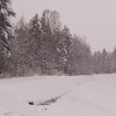 ���� Nik, ������������, 56 ��� - ��������� 11 ������ 2019 � ������ ���� ����������