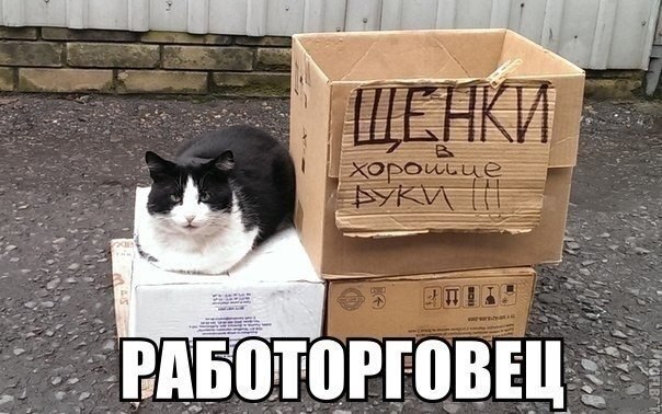    - 18  2019  20:45