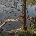 ���� ������, �����, 61 ��� - ��������� 27 ������ 2019 � ������ ����� ���������