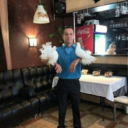 ������, �����, 52 ����