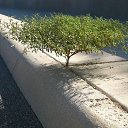  ••,  -  11  2019       ...