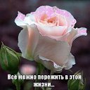 ���� ����, �����������, 62 ���� - ��������� 23 ������� 2019 � ������ ������ ��������