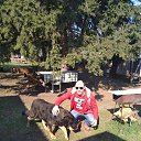 ���� �����, �����������, 36 ��� - ��������� 11 ��� 2019 � ������ ���� ����������