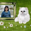 ���� �������, ������ ��������, 67 ��� - ��������� 22 ���� 2019 � ������ ������ ����� ���ۻ