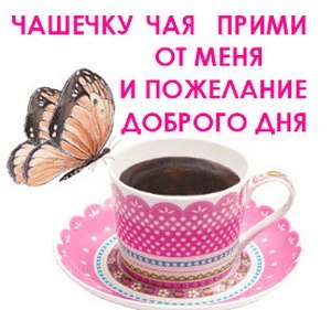   ,    . - 12  2019  09:58 - 2