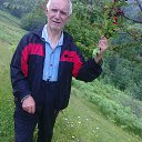  Vasil, , 67  -  25  2019     