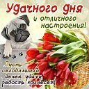 ���� ������, ����������, 49 ��� - ��������� 18 ���� 2019 � ������ ���� ����������