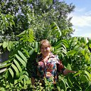 ���� ��������, �����, 49 ��� - ��������� 11 ���� 2019 � ������ ���� ����������