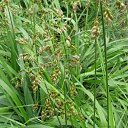 ���� ������, ������� - ��������� 13 ������� 2019 � ������ ���� ����������