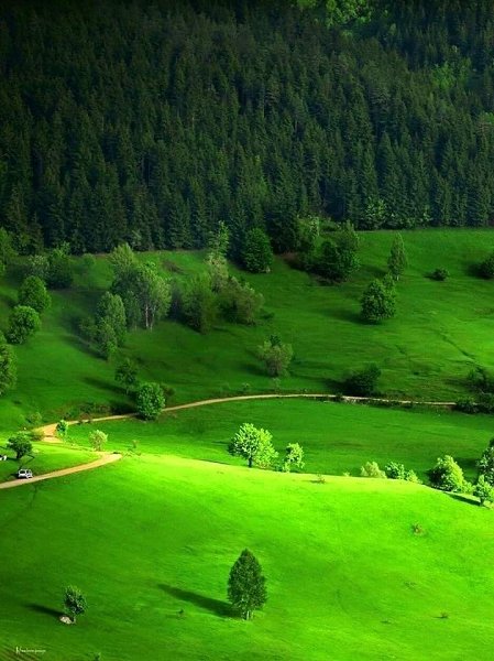 ���������!