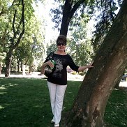 ����, 67 ���, ���������