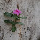  ••,  -  11  2019       ...