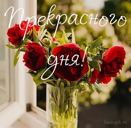   ,    . - 1  2019  14:44