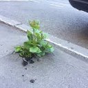  ••,  -  11  2019       ...