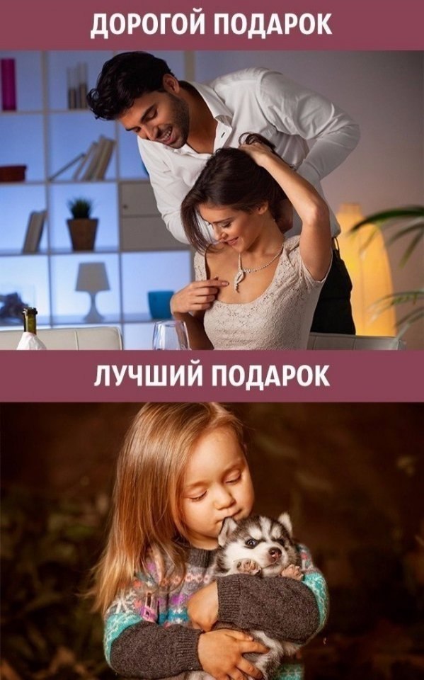      -   . - 9