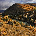  , -, 64  -  16  2019   - 