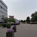  Gojko, -, 72  -  18  2019   Svedska 2019.g.