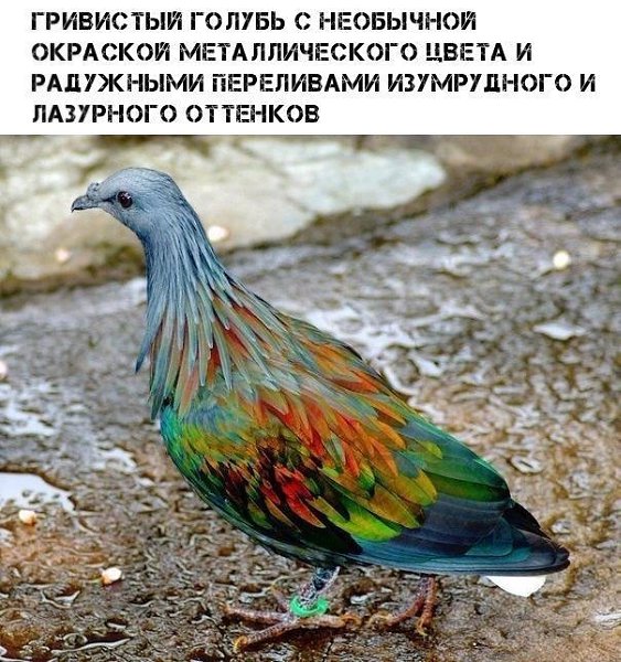   - 12  2019  19:19