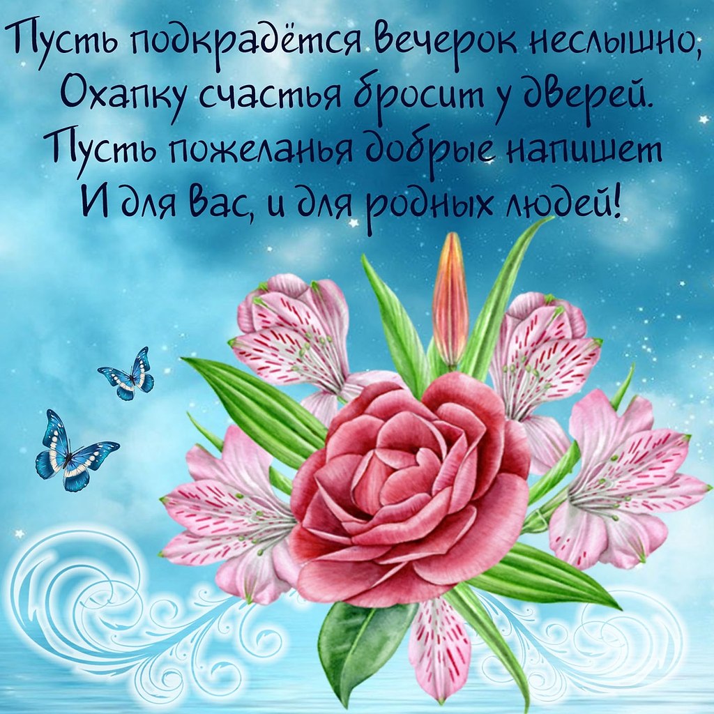   ,    . - 25  2019  19:39