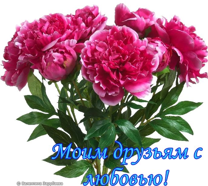   ,    . - 4  2020  23:27