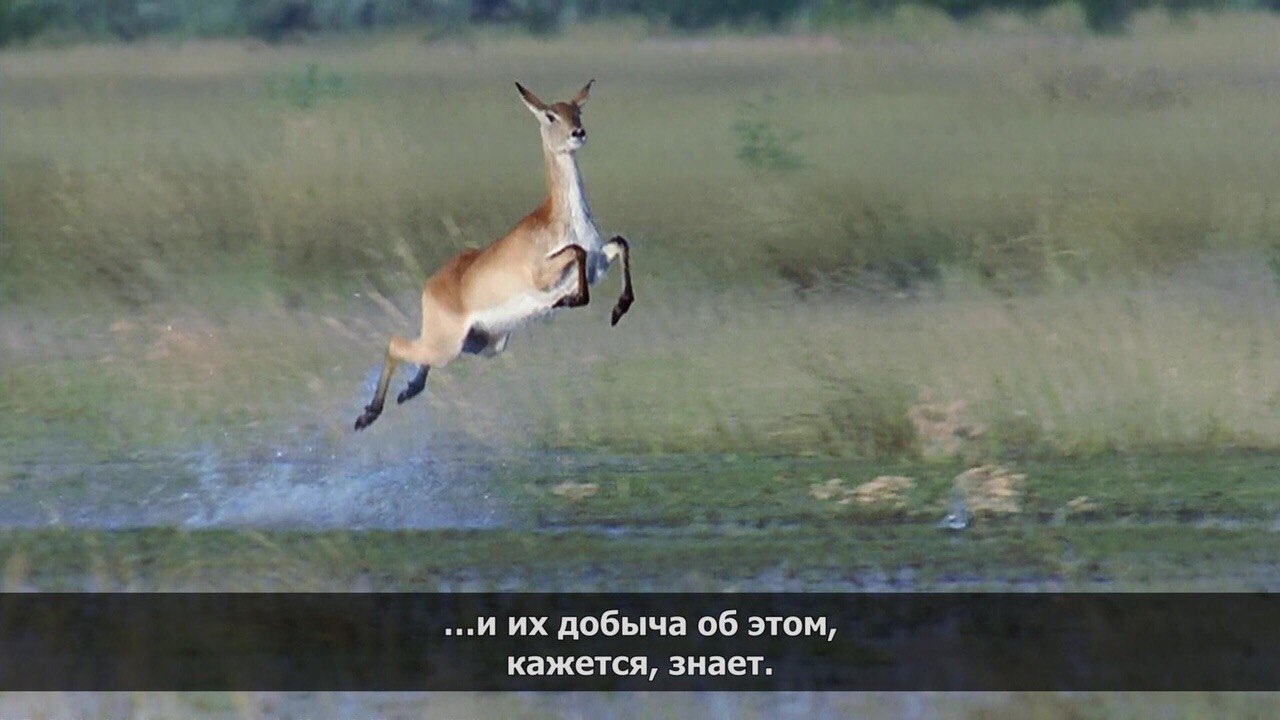     ... - 3